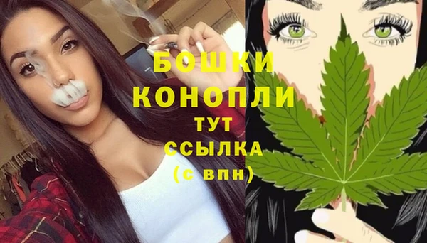 марки lsd Новозыбков