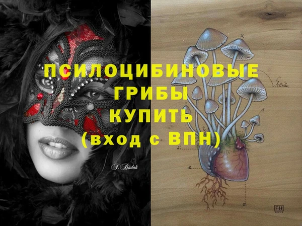 меф Няндома