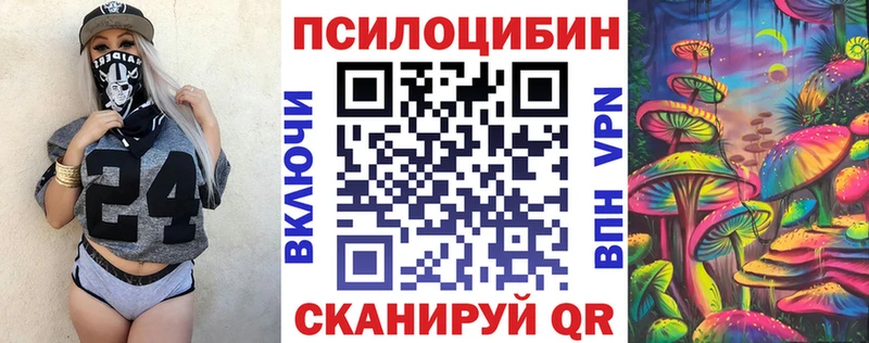 Купить  Салехард  Галлюциногенные грибы Psilocybe 