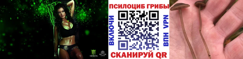 Галлюциногенные грибы MAGIC MUSHROOMS Салехард